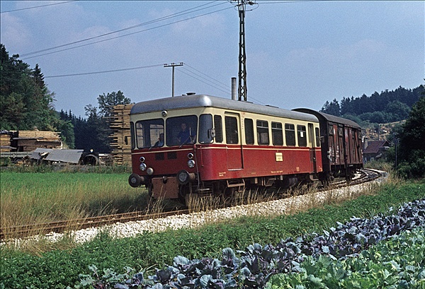 Foto:: WEG T5 / Amstetten / 07.08.1976 (Foto,Fotos,Bilder,Bild,)