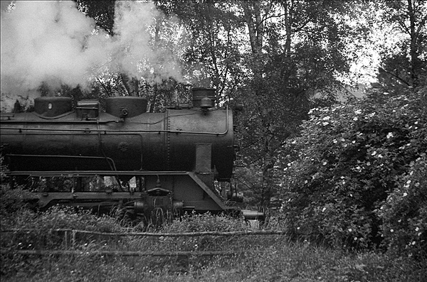 Foto:: 56 3007 / Troisdorf / 05.06.1977 (Foto,Fotos,Bilder,Bild,)
