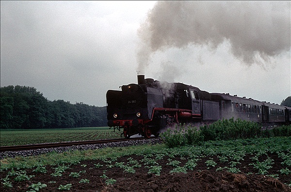 Foto:: 24 083 / Muenster - Ruethen / 24.05.1981 (Foto,Fotos,Bilder,Bild,)