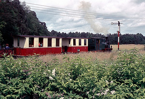 Foto:: DKBM 5 Arthur Koppel / Guetersloh / 24.05.1981 (Foto,Fotos,Bilder,Bild,)