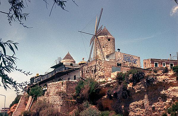 Foto:: Rundgang / Palma de Mallorca / Mai 1984 (Foto,Fotos,Bilder,Bild,)