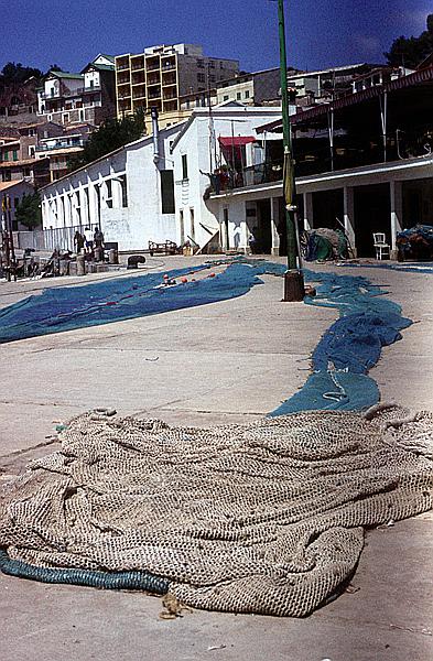 Foto:: Hafen / Port de Soller / Mai 1984 (Foto,Fotos,Bilder,Bild,)