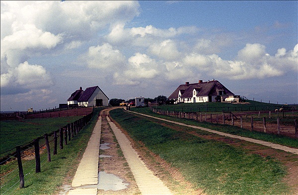 Foto:: Nordstrand / Juni 1985 (Foto,Fotos,Bilder,Bild,)