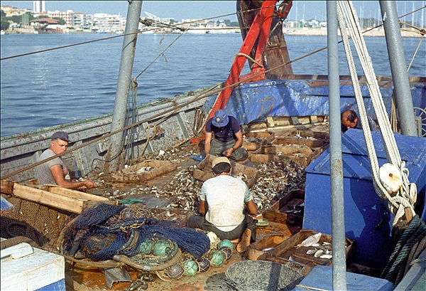 Foto:: Urlaub / Salou / 24.09.1985 - 05.10.1985 (Foto,Fotos,Bilder,Bild,)