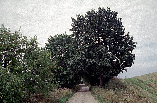 Foto:: Wanderung / Mragowo / September 1994 (Foto,Fotos,Bilder,Bild,)