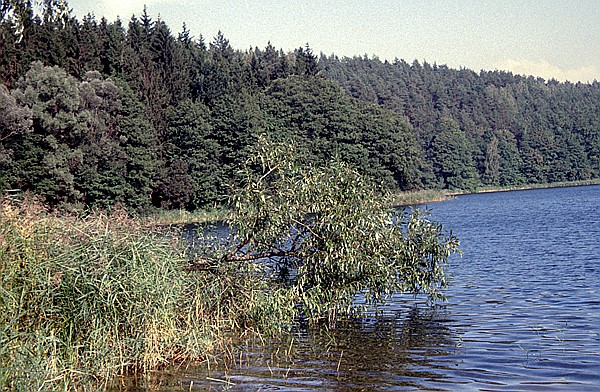 Foto:: Wanderung / Mragowo / September 1994 (Foto,Fotos,Bilder,Bild,)