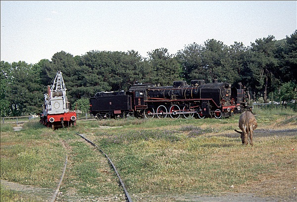 Foto:: TCDD 46025 / Camlik / Mai 1995 (Foto,Fotos,Bilder,Bild,)