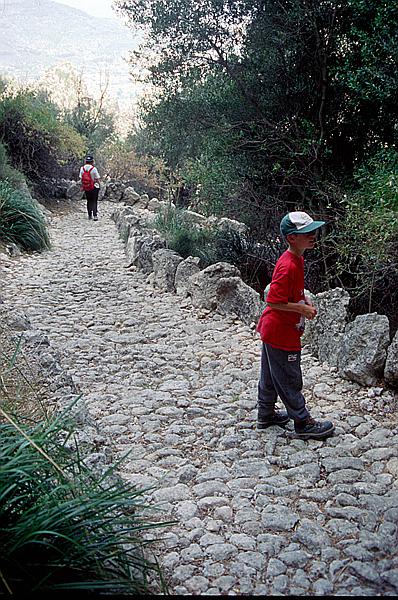 Foto:: Wanderung Cami des Barrances / Soller / Juli 1998 (Foto,Fotos,Bilder,Bild,)