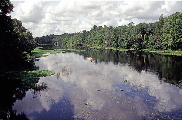 Foto:: Flusslandschaft / Florida / 17.07.2005 (Foto,Fotos,Bilder,Bild,)