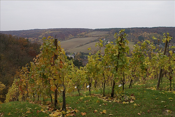 Foto:: Herbstwochenende Trostadt 01.11.2007 bis 04.11.2007 (Foto,Fotos,Bilder,Bild,)
