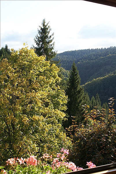 Foto:: Herbsturlaub Schwarzwald / Black Forrest + Elsass / Alsace 21.09.2008 - 26.09.2008 (Foto,Fotos,Bilder,Bild,)