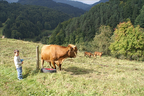 Foto:: Herbsturlaub Schwarzwald / Black Forrest + Elsass / Alsace 21.09.2008 - 26.09.2008 (Foto,Fotos,Bilder,Bild,)