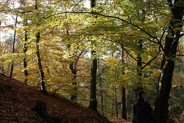 Foto:: Eisenach / 18.10.2008 (Foto,Fotos,Bilder,Bild,)