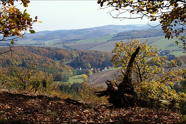 Foto:: Eisenach / 18.10.2008 (Foto,Fotos,Bilder,Bild,)