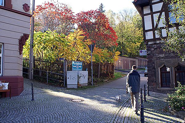 Foto:: Eisenach / 18.10.2008 (Foto,Fotos,Bilder,Bild,)