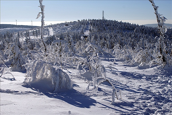 Foto:: Rundgang / Fichtelberg / 29.12.2008 (Foto,Fotos,Bilder,Bild,)