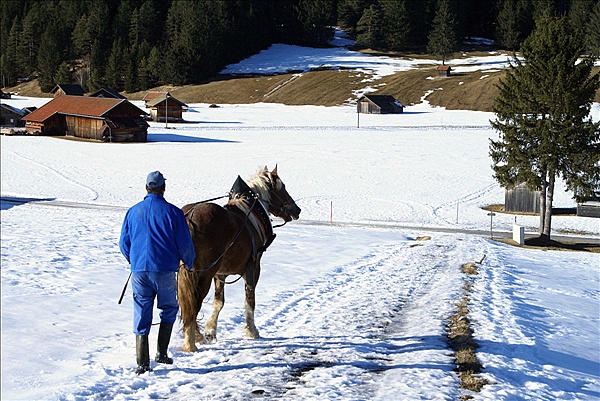 Foto:: Winterurlaub Bayern 2009 / Winter vacation Bavaria 2009 (Foto,Fotos,Bilder,Bild,)