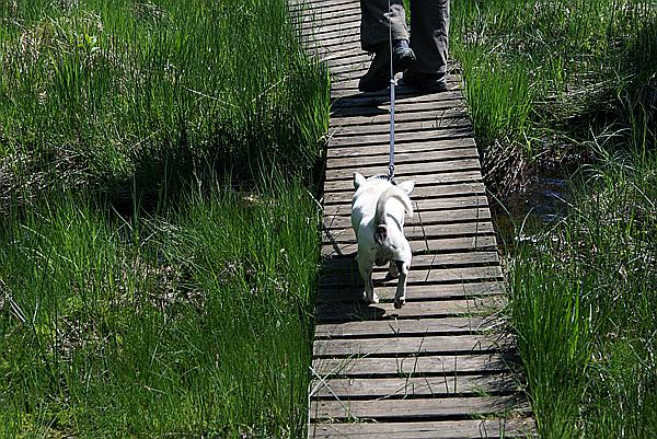 Foto:: Himmelfahrtsurlaub 2009 in der Eifel / Ascension Day vacation in the Eifel area 2009 (Foto,Fotos,Bilder,Bild,)