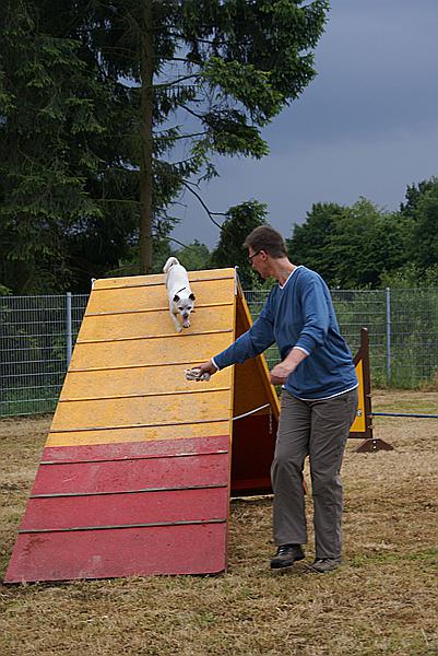 Foto:: Tag der Offenen Tuer im Tierheim Schwerte / 20.06.2009 (Foto,Fotos,Bilder,Bild,)
