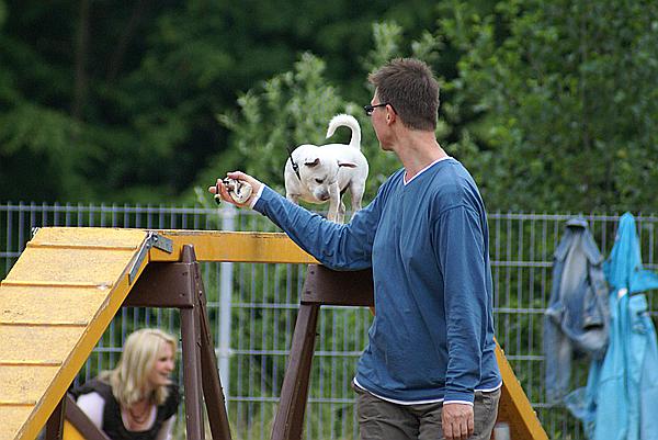 Foto:: Tag der Offenen Tuer im Tierheim Schwerte / 20.06.2009 (Foto,Fotos,Bilder,Bild,)