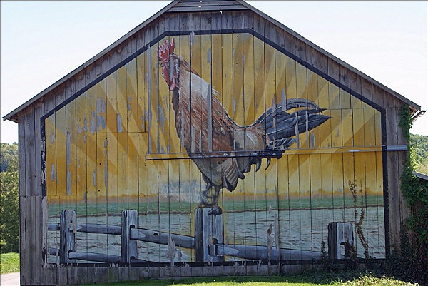 Foto:: Chicken Farm / West Hempfield, PA / 05.05.2010 (Foto,Fotos,Bilder,Bild,)
