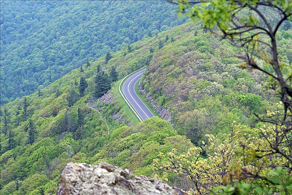 Foto:: Shenandoah National Park / Luray, VA / 06.05.2010 (Foto,Fotos,Bilder,Bild,)