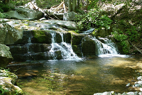 Foto:: Shenandoah National Park / Luray, VA / 06.05.2010 (Foto,Fotos,Bilder,Bild,)