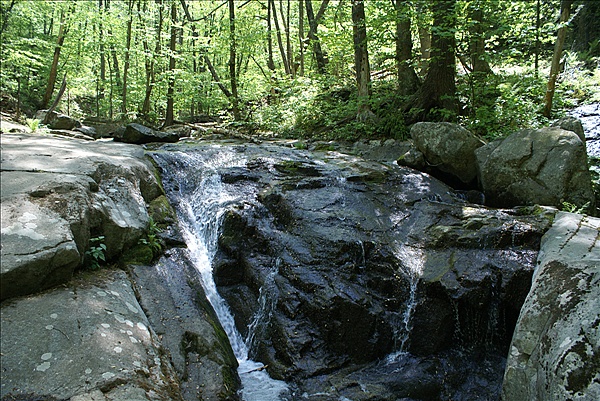 Foto:: Shenandoah National Park / Luray, VA / 06.05.2010 (Foto,Fotos,Bilder,Bild,)