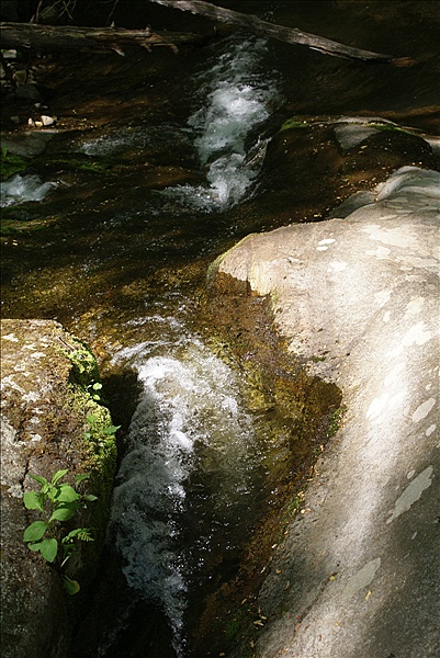 Foto:: Shenandoah National Park / Luray, VA / 06.05.2010 (Foto,Fotos,Bilder,Bild,)