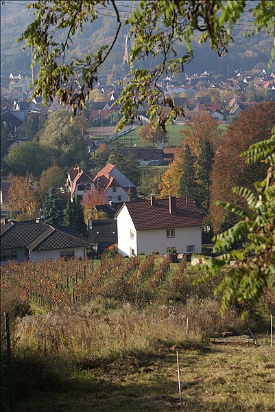 Foto:: Pfaelzer Huettentour / Albersweiler / 29.10.2011 (Foto,Fotos,Bilder,Bild,)