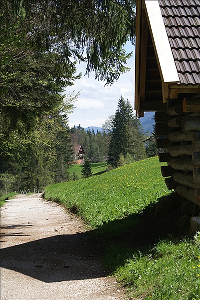 Foto:: Barmsee und Grubsee / Kruen / 06.05.2013 (Foto,Fotos,Bilder,Bild,)