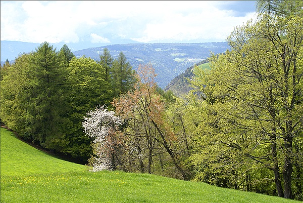 Foto:: Wanderung / Oberinn / 08.05.2013 (Foto,Fotos,Bilder,Bild,)