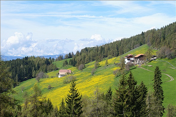 Foto:: Wanderung / Oberinn / 09.05.2013 (Foto,Fotos,Bilder,Bild,)