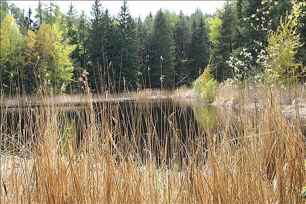 Foto:: Wanderung / Wolfsgruben / 11.05.2013 (Foto,Fotos,Bilder,Bild,)