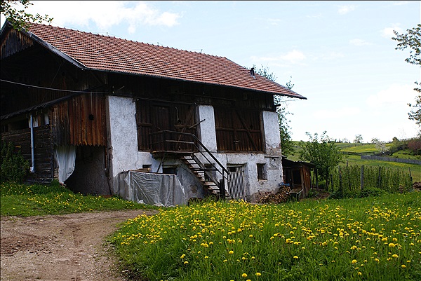 Foto:: Wanderung / Oberbozen / 13.05.2013 (Foto,Fotos,Bilder,Bild,)