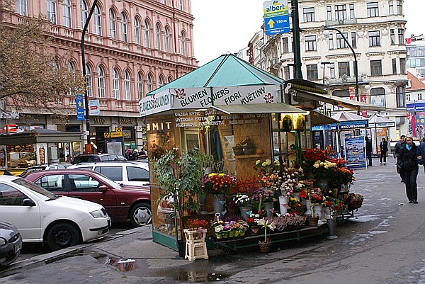 Foto:: Blumenstand / Prag / 03.11.2013 (Foto,Fotos,Bilder,Bild,)