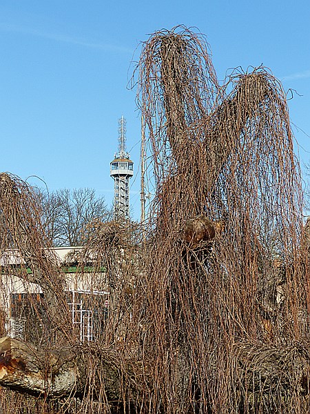 Foto:: Prag / 23.02.2014 (Foto,Fotos,Bilder,Bild,)