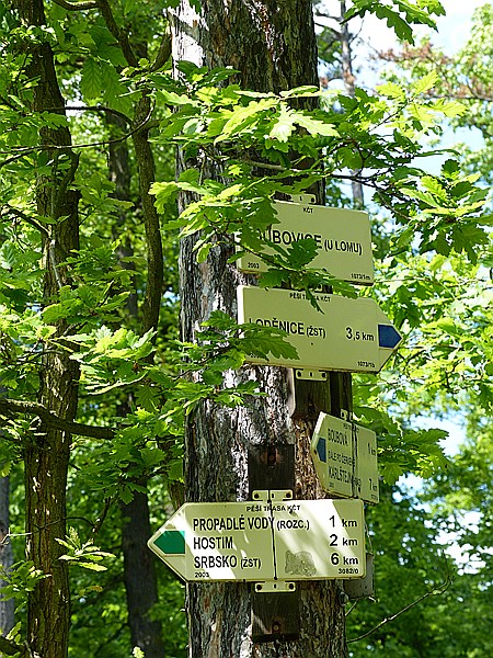 Foto:: Wanderung / Lodenice - Karlstejn - Lodenice / 08.05.2014 (Foto,Fotos,Bilder,Bild,)