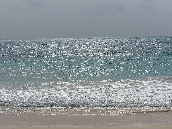 Foto:: Strand / Punta Cana / 09.06.2014 (Foto,Fotos,Bilder,Bild,)