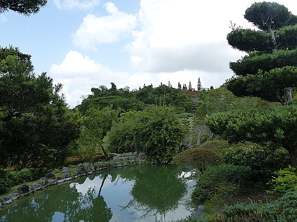 Foto:: Botanischer Garten / Santo Domingo / 11.06.2014 (Foto,Fotos,Bilder,Bild,)