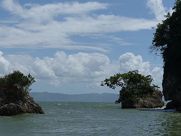 Foto:: Nationalpark / Los Haitises / 13.06.2014 (Foto,Fotos,Bilder,Bild,)