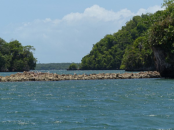 Foto:: Nationalpark / Los Haitises / 13.06.2014 (Foto,Fotos,Bilder,Bild,)