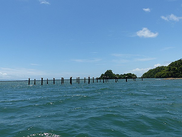 Foto:: Nationalpark / Los Haitises / 13.06.2014 (Foto,Fotos,Bilder,Bild,)