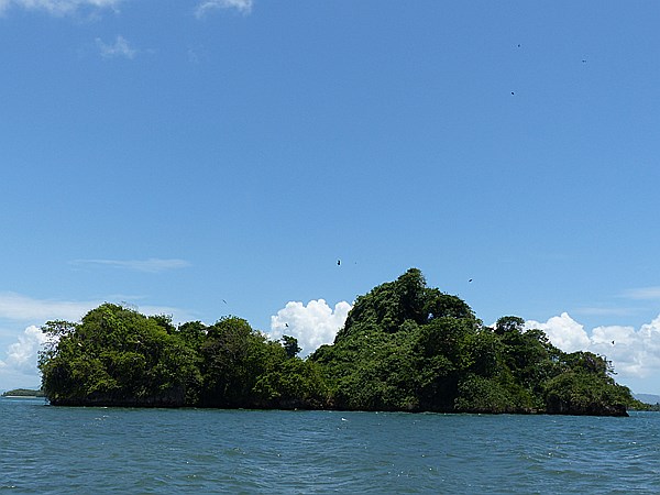 Foto:: Nationalpark / Los Haitises / 13.06.2014 (Foto,Fotos,Bilder,Bild,)