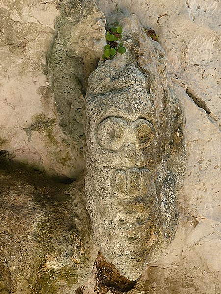 Foto:: Nationalpark / Los Haitises / 13.06.2014 (Foto,Fotos,Bilder,Bild,)