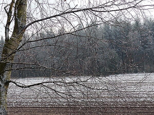 Foto:: Winterwanderung / Oberhaverbeck / 26.12.2014 (Foto,Fotos,Bilder,Bild,)