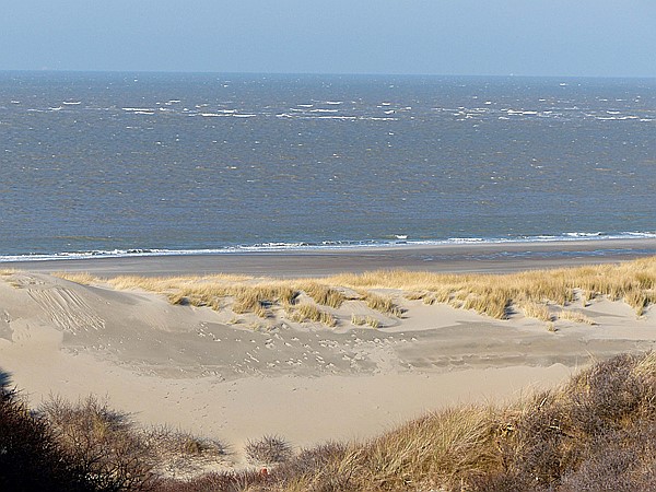 Foto:: Strandspaziergang / Nieuw-Haamstede / 07.02.2015 (Foto,Fotos,Bilder,Bild,)