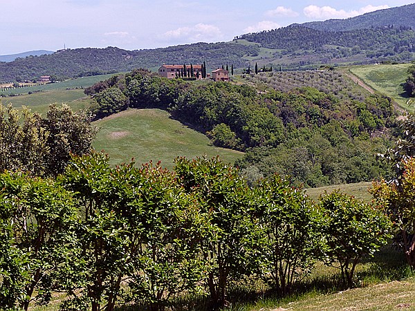 Foto:: Wanderung zum Fluss Cecina / Pomarance / 07.05.2015 (Foto,Fotos,Bilder,Bild,)