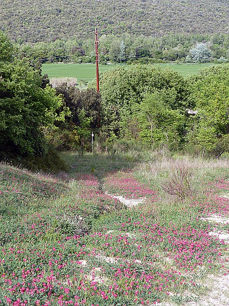 Foto:: Wanderung zum Fluss Cecina / Pomarance / 07.05.2015 (Foto,Fotos,Bilder,Bild,)