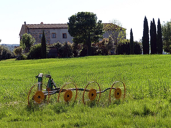 Foto:: Wanderung zum Fluss Cecina / Pomarance / 07.05.2015 (Foto,Fotos,Bilder,Bild,)